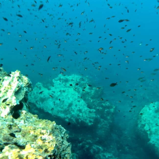 Curso de PaddleSurf, Visita Cuevas y Calas secretas, Snorkel - Why This Tour Offers Great Value