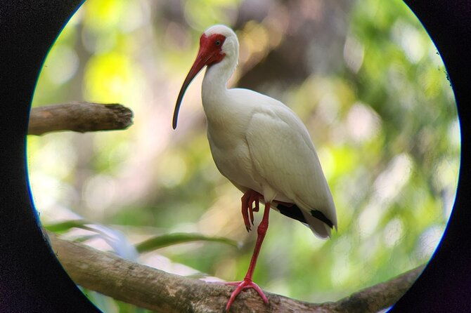 curu-wildlife-refuge-with-transportation
