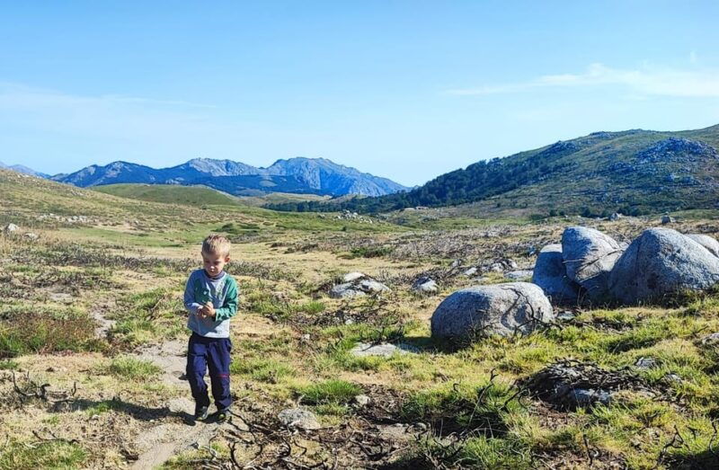 cuscionus-plateau-1000-waterholesgrass-pozzines