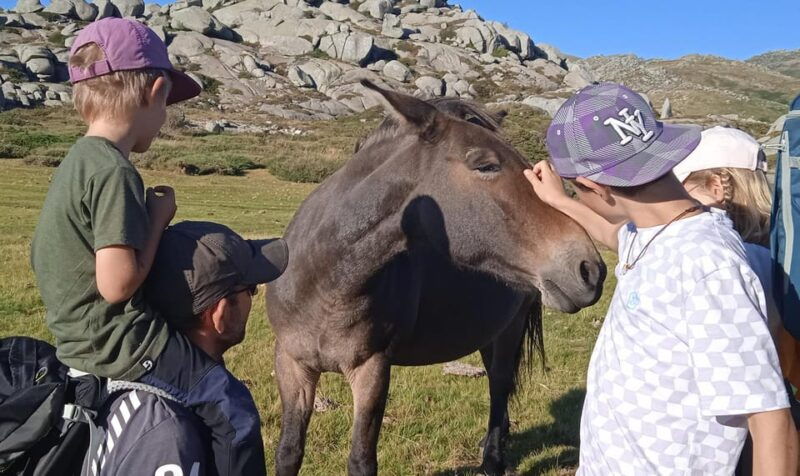 cuscionus-plateau-1000-waterholesgrass-pozzines