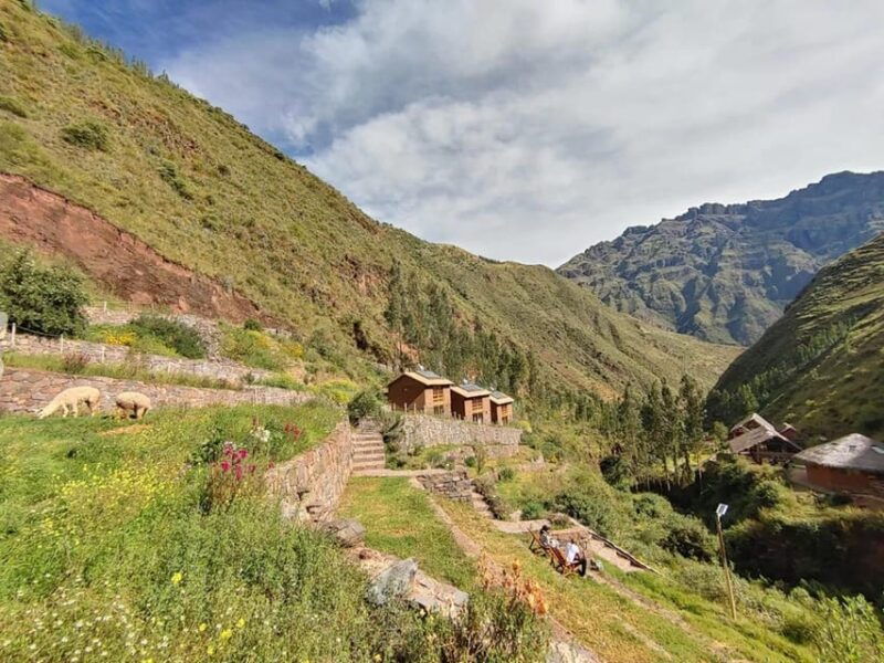 cusco-5day-ayahuasca-retreat-with-meditation-volunteering