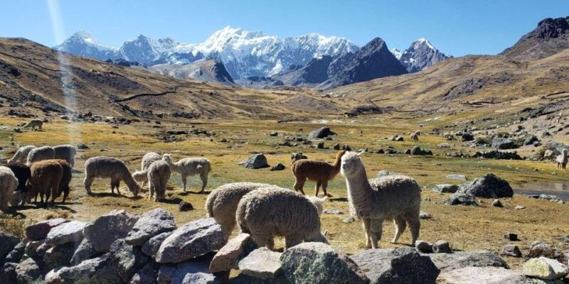 cusco-7-lagoons-of-ausangate-hike-day-tour-with-lunch