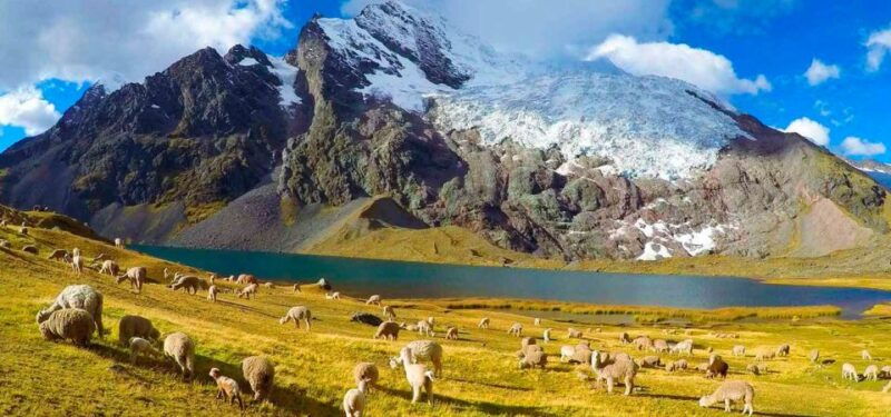 cusco-7-lagoons-of-ausangate-hiking-day-trip-with-lunch