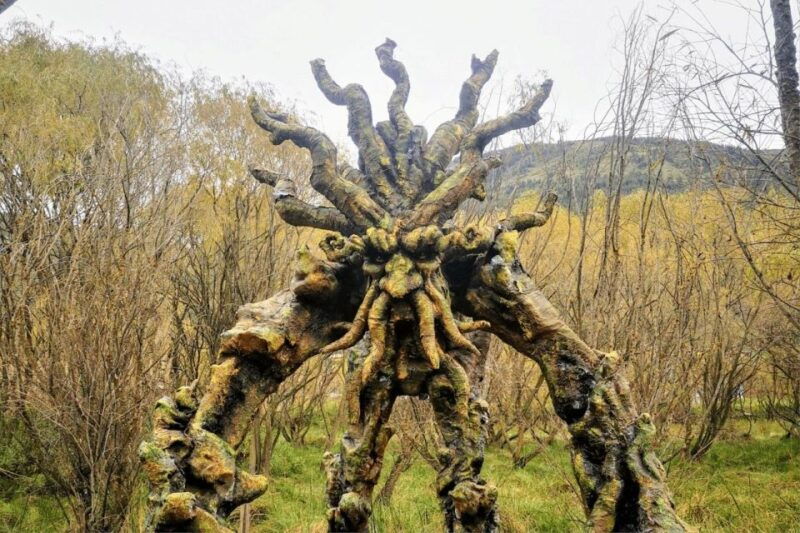 cusco-abode-of-the-gods-valley-of-the-goblins-and-huasao