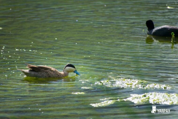 cusco-abode-of-the-gods-valley-of-the-goblins-and-huasao