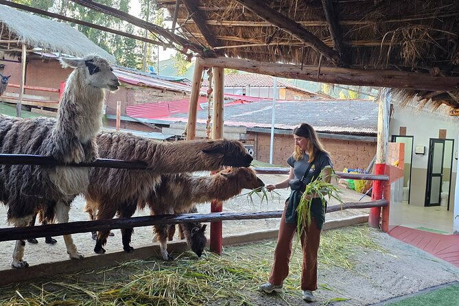 cusco-alpaca-and-llama-farm-tour-with-transfer-weaving-demo