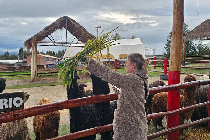 cusco-alpaca-and-llama-farm-tour-with-transfer-weaving-demo