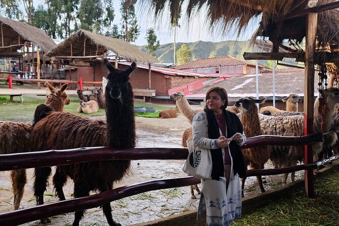 cusco-alpaca-and-llama-farm-tour-with-transfer-weaving-demo