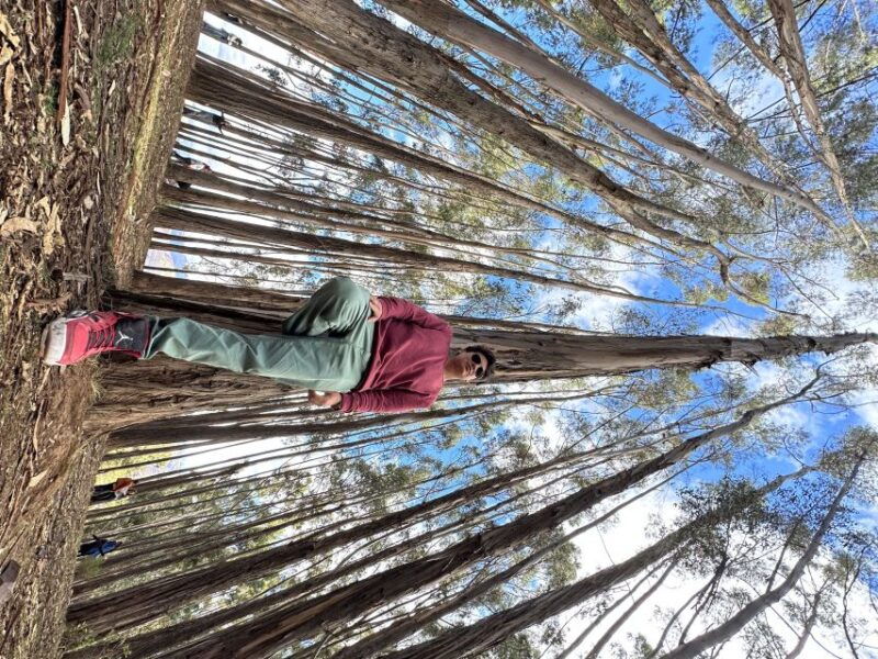 cusco-archeological-sites-tour-and-forest-photo-experience-2