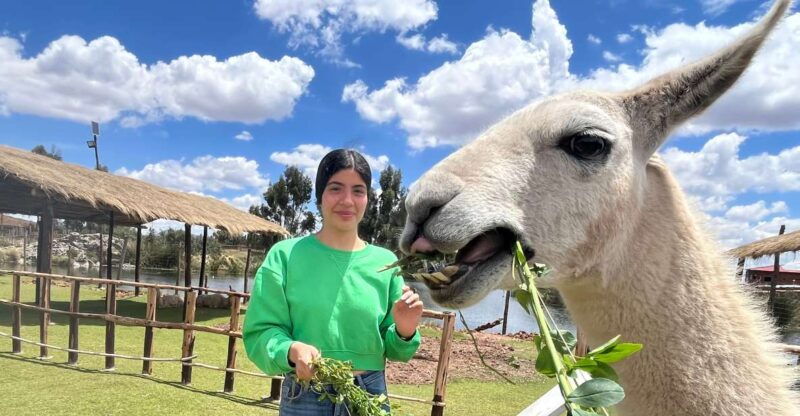 cusco-archeological-sites-tour-and-forest-photo-experience-2