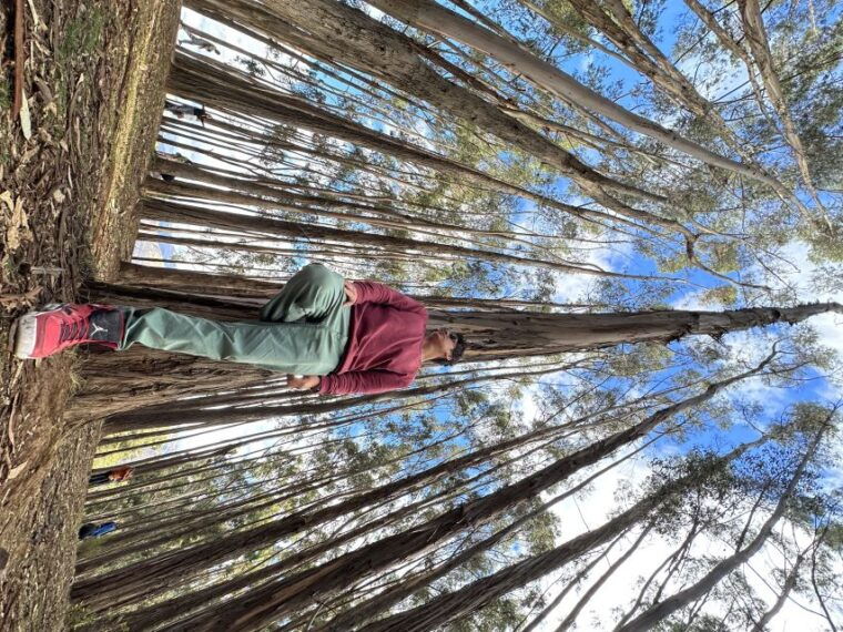 cusco-archeological-sites-tour-and-forest-photo-experience-2