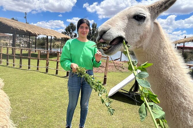 cusco-archeological-sites-tour-and-forest-photo-experience