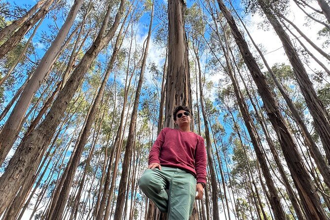 cusco-archeological-sites-tour-and-forest-photo-experience