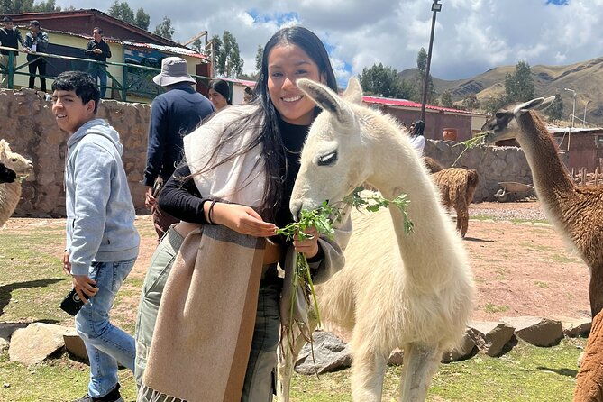 cusco-archeological-sites-tour-and-forest-photo-experience