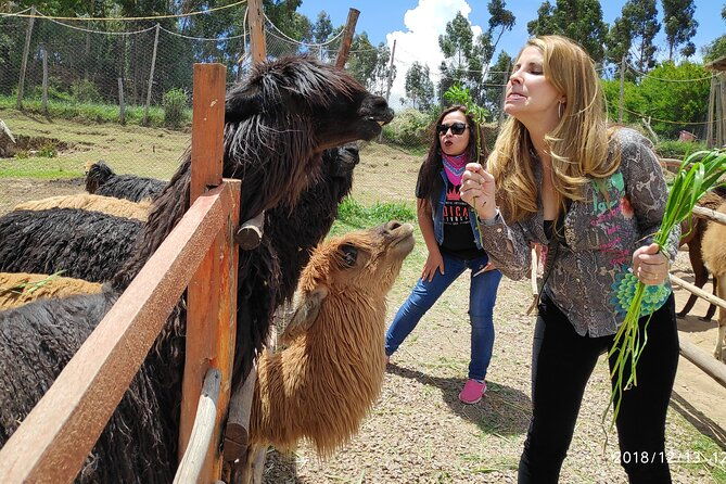 cusco-city-tour-peru-1-2-day