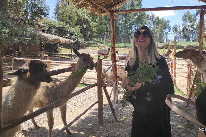 cusco-city-tour-peru-1-2-day