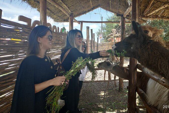 cusco-city-tour-peru-1-2-day