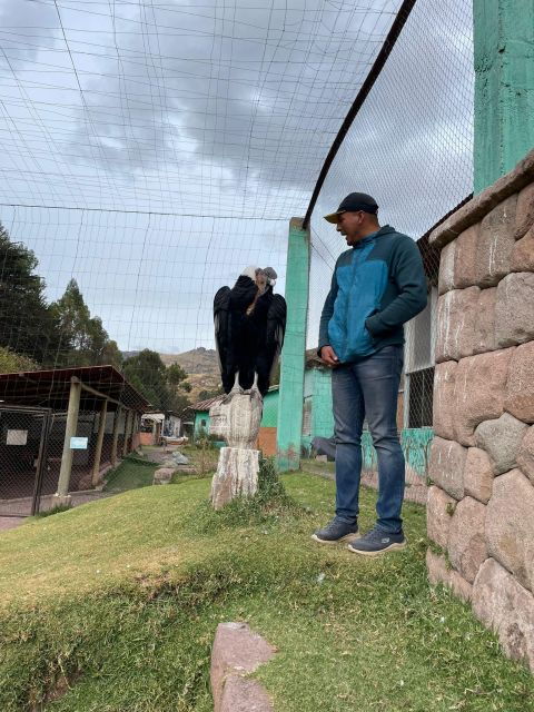 cusco-cochahuasi-animal-sanctuary-tour-with-rescued-animals