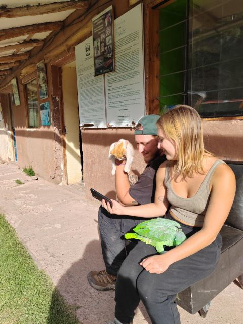 cusco-cochahuasi-animal-sanctuary-tour-with-rescued-animals
