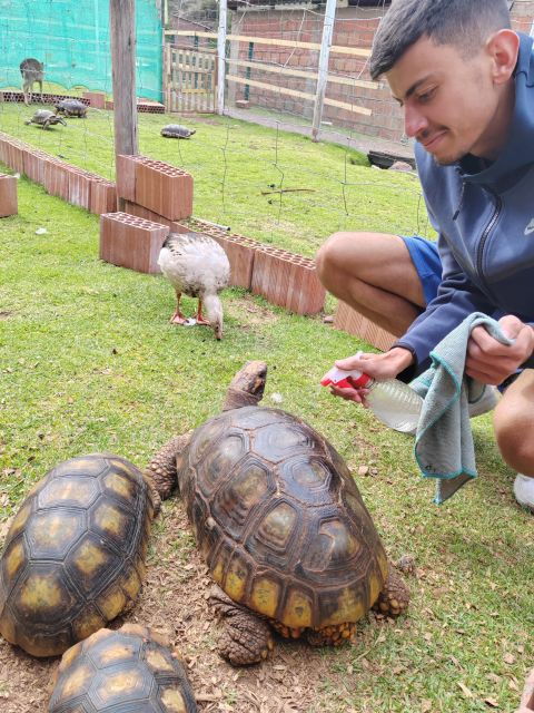 cusco-cochahuasi-animal-sanctuary-tour-with-rescued-animals