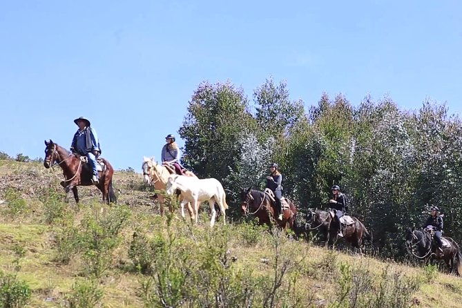 cusco-day-tour-horse-riding-mystic-tour-full-service-the-most-recommended