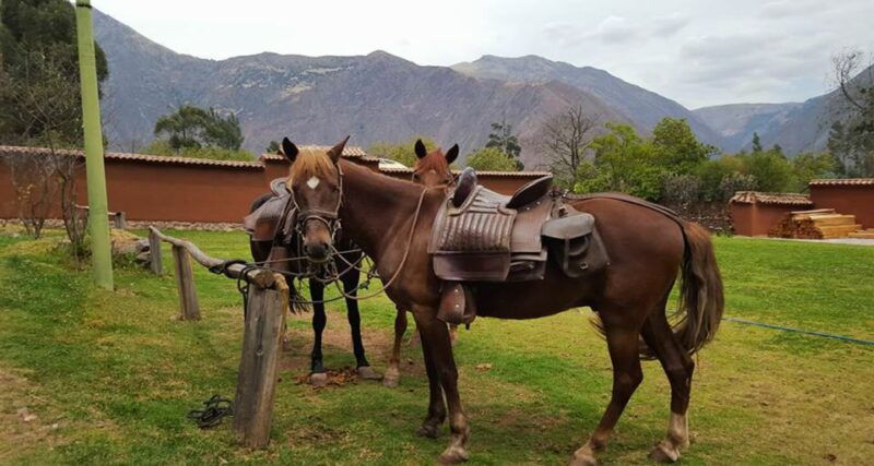 cusco-full-day-horseback-riding-tour-to-maras-moray