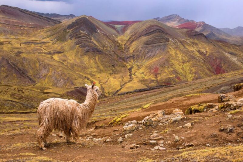 cusco-full-day-private-hike-to-palcoyo-rainbow-mountain