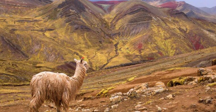cusco-full-day-private-hike-to-palcoyo-rainbow-mountain