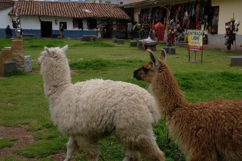 cusco-inkas-walking-city-tour