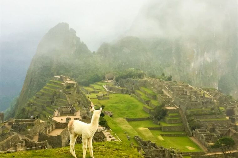 cusco-machu-picchu-2-day-inca-trail-with-panoramic-train
