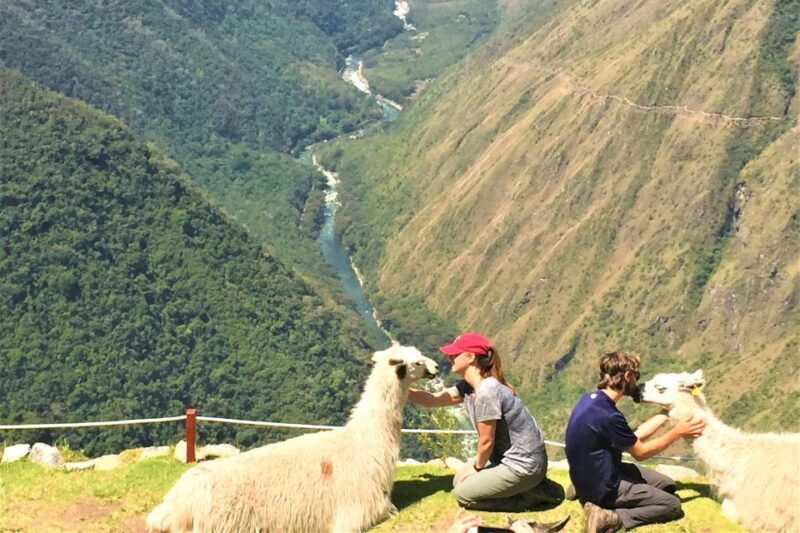 cusco-machu-picchu-4-day-inca-trail-trek-panoramic-train