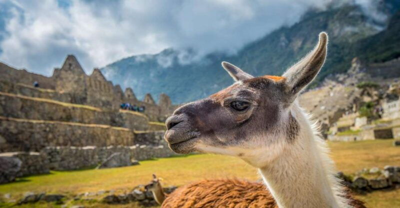 cusco-machu-picchu-tour-with-tickets
