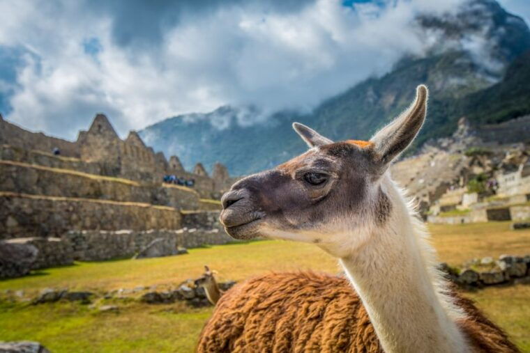 cusco-machu-picchu-tour-with-tickets