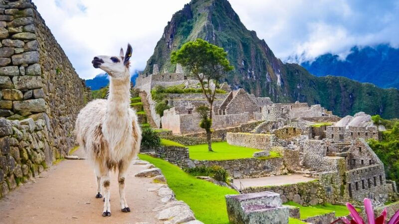 cusco-machu-picchu-tourist-train-and-machu-picchu-ticket-2