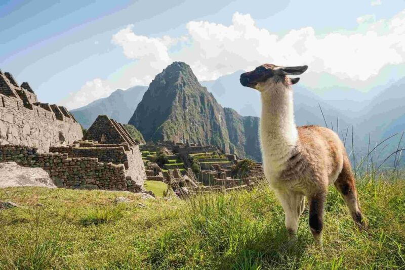 cusco-one-day-tour-to-machu-picchu-with-entrance-fees-train-and-expert-tour-guide