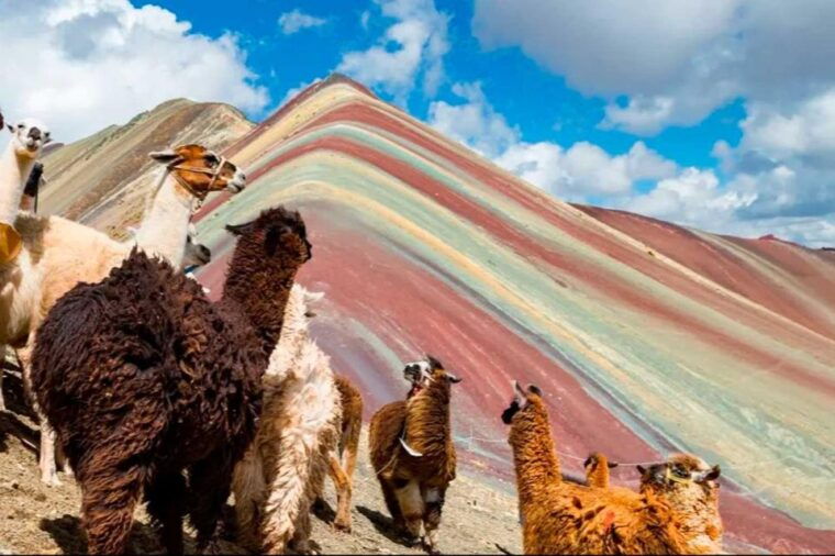 cusco-rainbow-mountain-and-red-valley-trip-with-2-meals