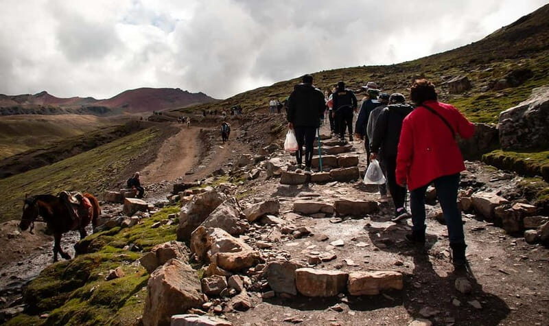 Cusco: Rainbow Mountain & Red Valley Private Tour - The Sum Up: Who Will Love This Tour?