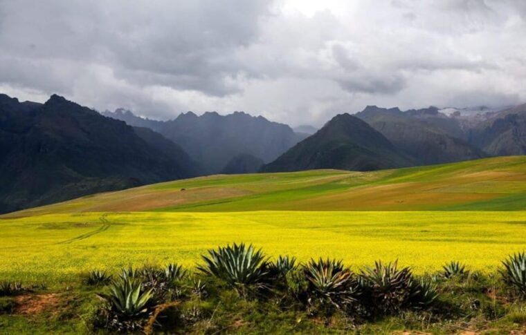cusco-sacred-valley-of-the-incas-and-maras-moray-tour