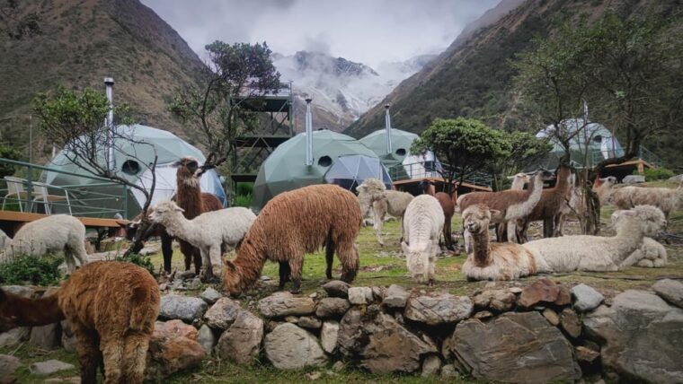 cusco-salkantay-humantay-lake-2-days-trek-with-luxury-domes