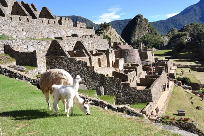 cusco-to-machu-picchu-day-trip