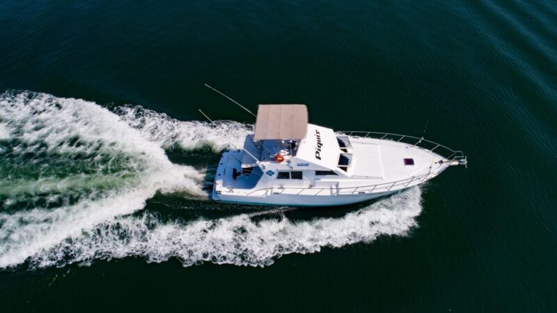 Custom 46' Boat in Puerto & Nuevo Vallarta - Practical Tips for Booking and Enjoying the Tour