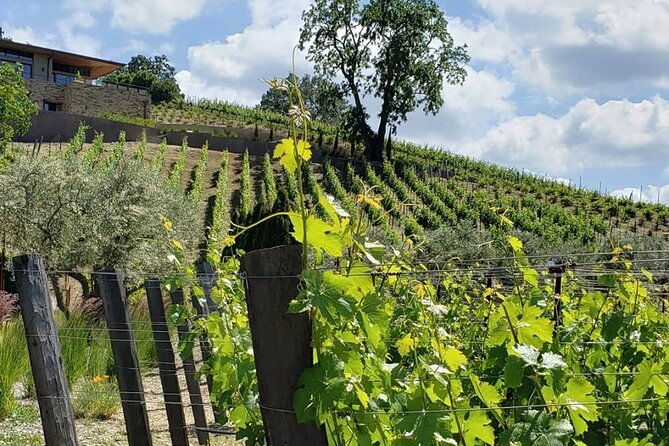 custom-8-hour-napa-valley-wine-tour-in-a-luxury-vehicle