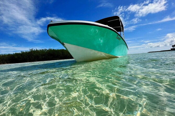 custom-charters-with-a-local-captain-2