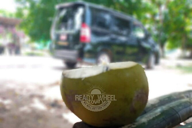 custom-combo-to-mystic-mountain-dunns-river-falls-blue-hole