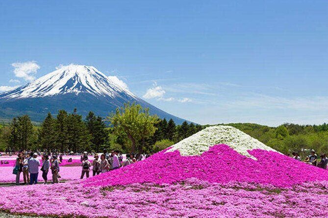 Custom Guided Day Tour to Mt. Fuji with English-Speaking Driver - Practical Tips for Your Day Trip