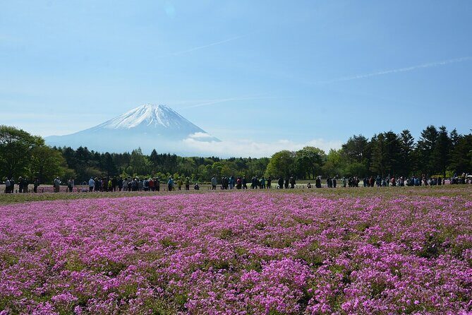 Custom Guided Day Tour to Mt. Fuji with English-Speaking Driver - The Sum Up
