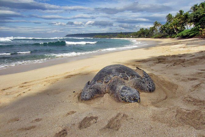 Custom Island Tour - for 4 to 5 people - up to 8 hours - Private tour of Oahu - Exploring the Itinerary: What Stops Make It Special