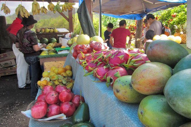 Custom Island Tour - for 4 to 5 people - up to 8 hours - Private tour of Oahu - Accessibility & Convenience
