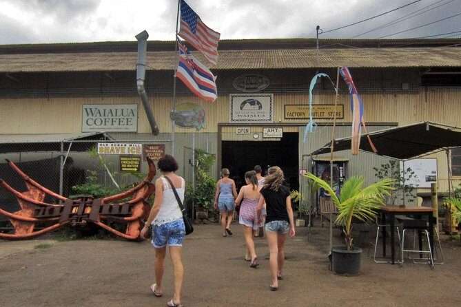 Custom Island Tour - for 4 to 5 people - up to 8 hours - Private tour of Oahu - Who Should Book This Tour?