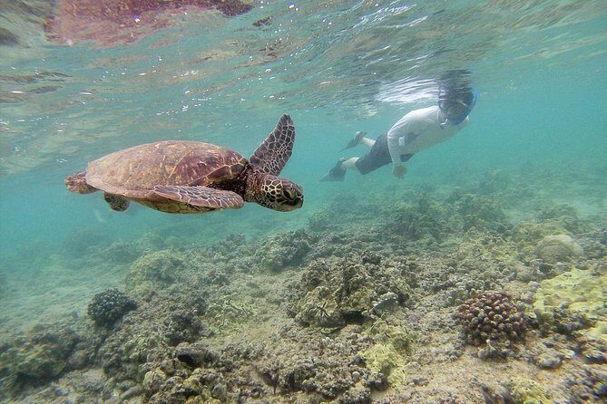 Custom Island Tour - for 6 to 14 people - up to 8 hours - Private tour of Oahu - The Sum Up: Who Should Book This Tour?